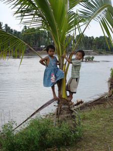 Kids in a Palm Tree