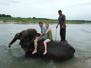 Preparing for Elephant Bath