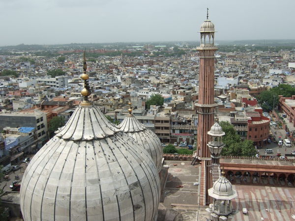 Delhi View