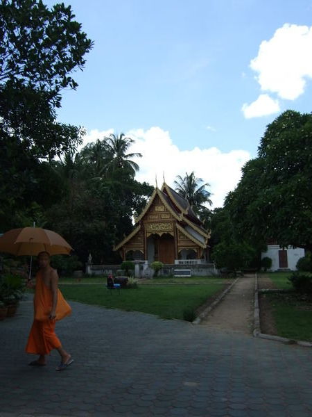 Monk & Temple (Wat)