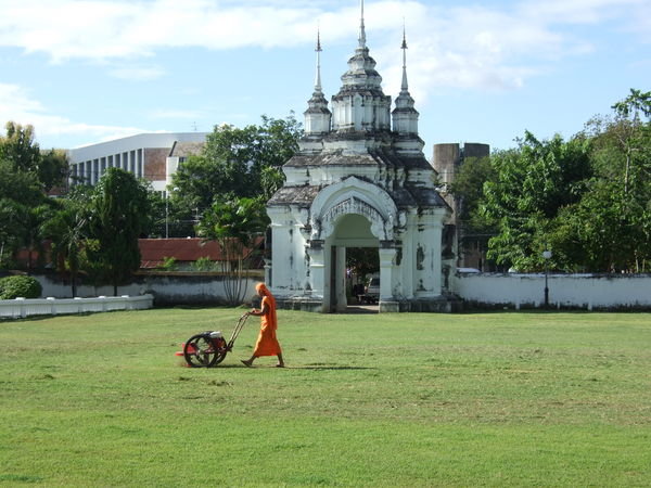 Monk Mowing