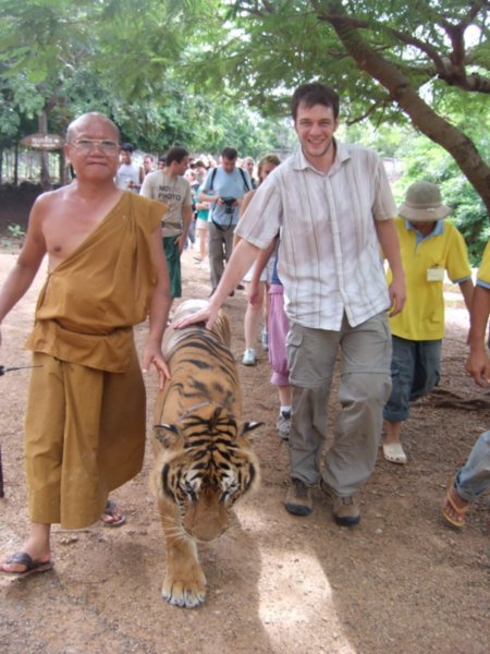 Walking with Tiger & Tiger Monk