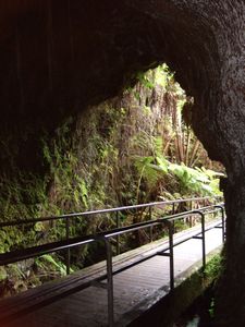 Entrance To The Thurston Lava Tube