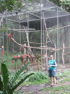 Large Macaw Cage Near Accomodation