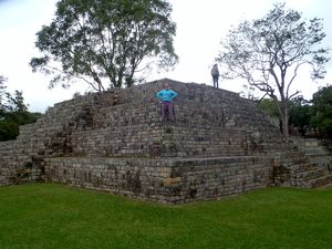 A Temple At Copan Mayan Ruins