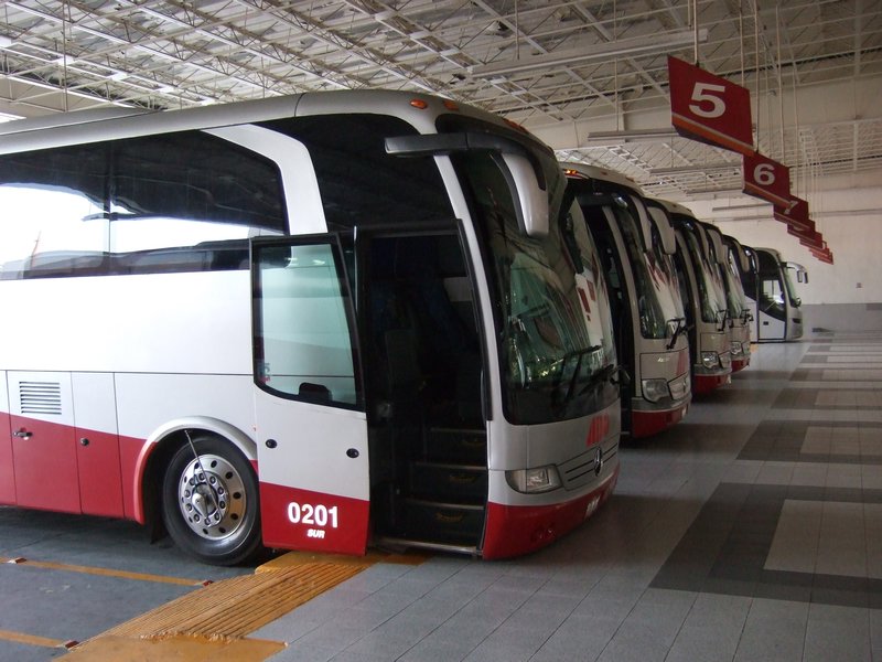 Awesome Mexican Buses