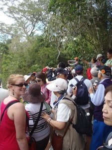 Iguazu Crowds
