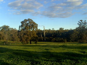 One of Rods fields