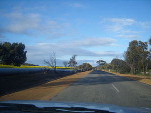 the roads of wicky