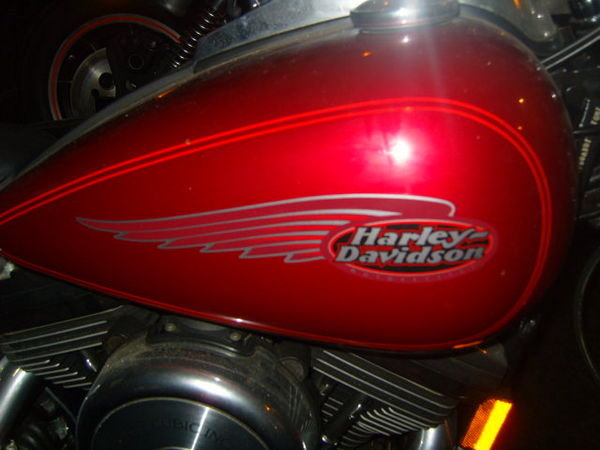 Harley Davidson!