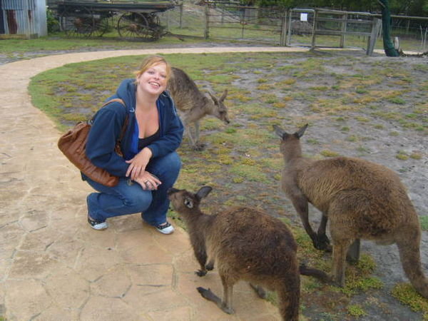 Chillin with some roo's
