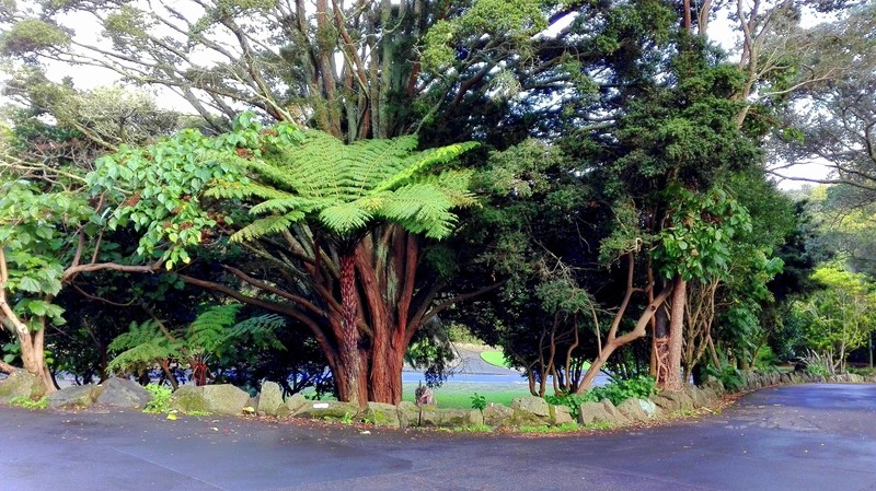 Mount Eden, Auckland