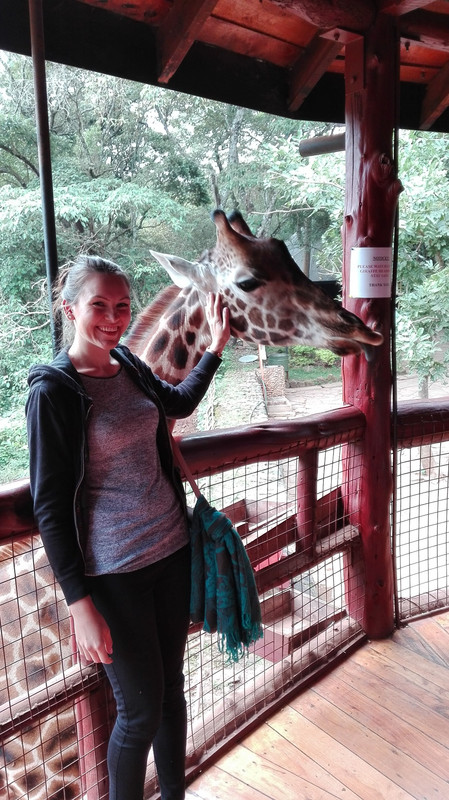 Giraffe Park, Nairobi, Kenya