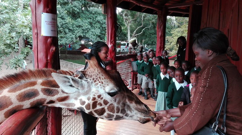 Giraffe Park, Nairobi, Kenya