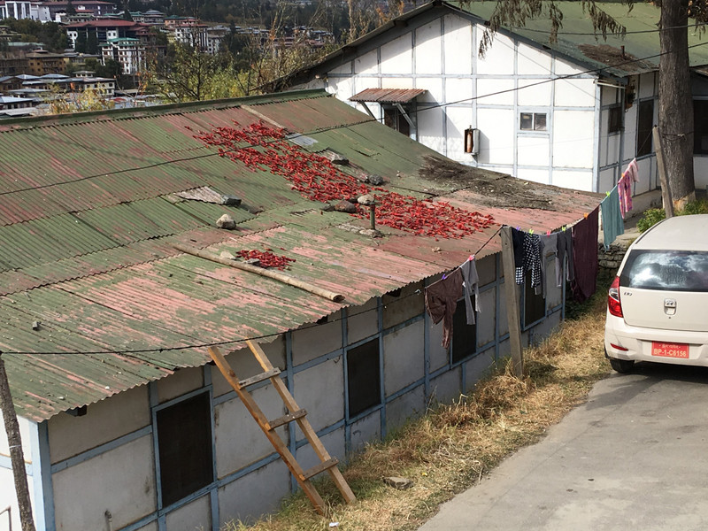 Peppers Drying on Roof Bhutan Nov 18