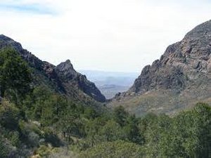 Chisos Mtns Valley Mar 19