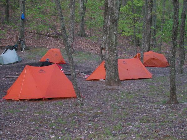 An MSR tent population explosion!