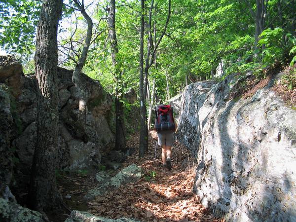 Sandstone formations along the trail