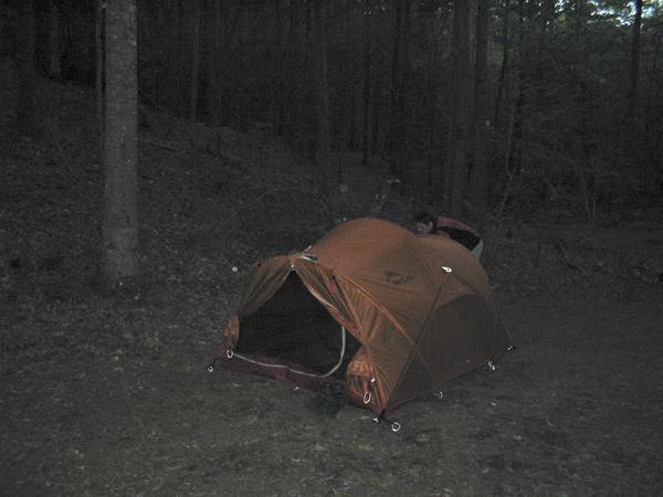 Primative camp amongst the pines