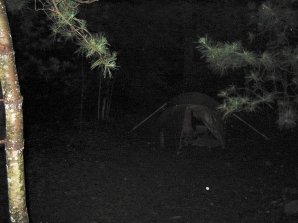 Tent site at Lost Mountain