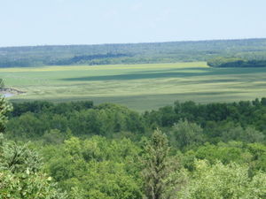 18 july '07 View of Assiniboine River Delta, Spruce Woods PP, Mb