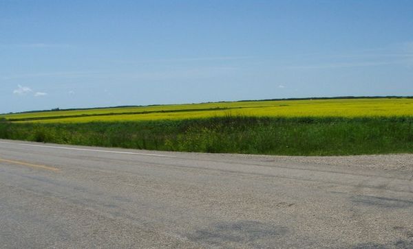 3 july '07 Green & yellow en route to Kamsack, Sk