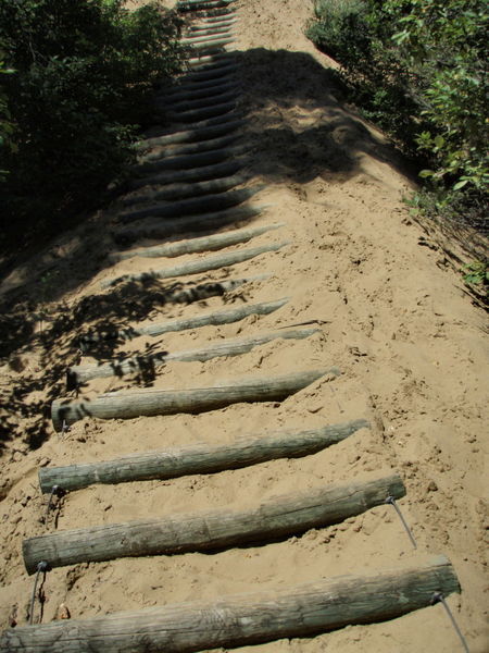 19 july '07 Rope & log stairs to top of dune, Spirit Sands area, Spruce Woods PP, Mb