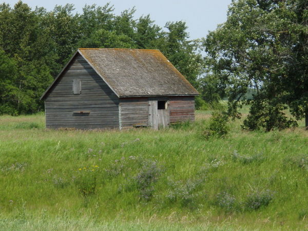 23 july '07 A small abandoned barn, still in good shape, en route to Miami, Mb