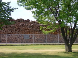 08 aug 2007 Pile of pulp logs, Abitibi paper plant, Fort Frances, Ont 