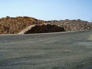 09 aug '07 Pile of pulp logs for Abitibi, Fort Frances, Ont
