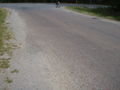 19 aug '07 'Pink' road, Sylvan Valley, Ont