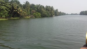 Serene Backwaters