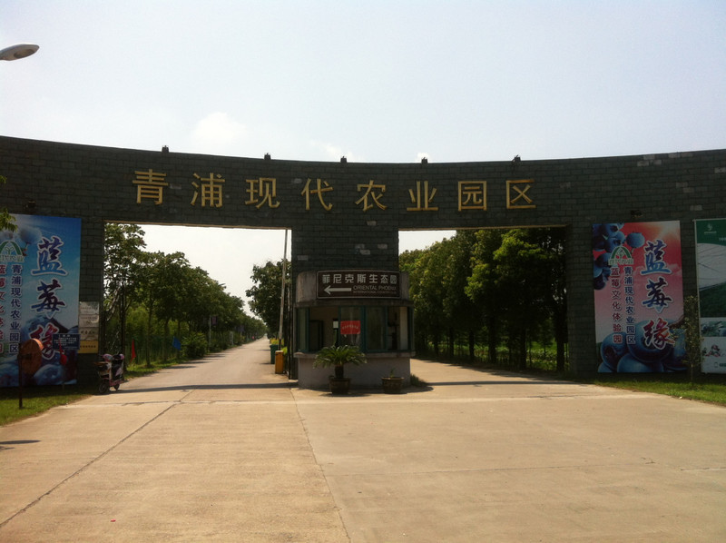 Die Qingpu Modern Agriculture Ecological Farm