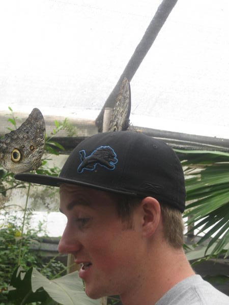 Matts Hat of Butterflies