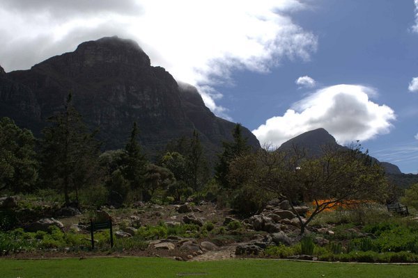Table Mountain from Kirstenbosch
