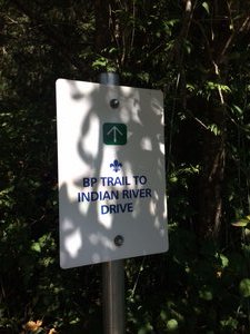 Deep Cove & Baden Powell Trail Hike