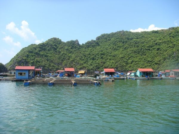 A small village in Halong Bay