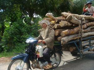 Transporting Timber