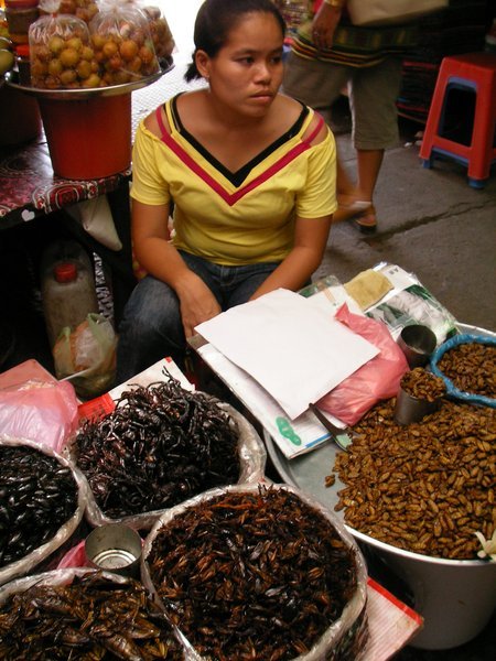 Selling insects at Central Market