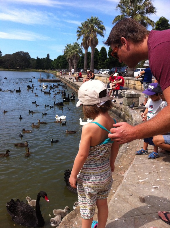 Checking out the swans and ducks with Adam. 