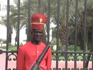 White House Guard 2
