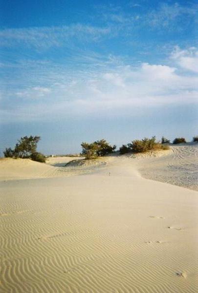 Sand Dunes in Senegal