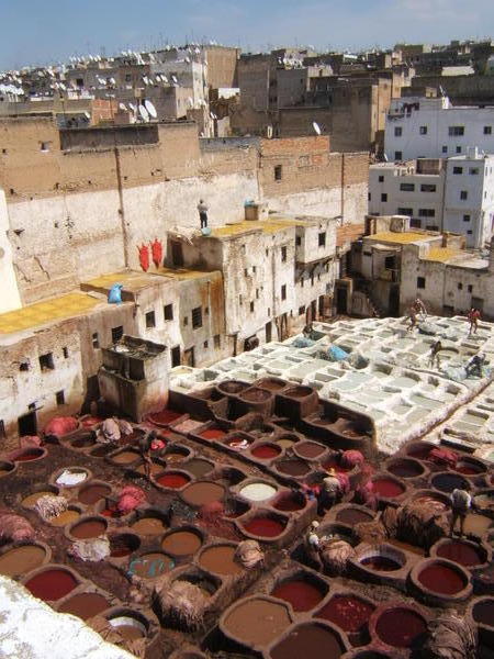 Famous Leather Tanneries