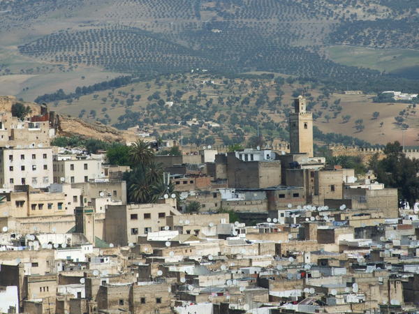 View of  Part of Expansive Medina