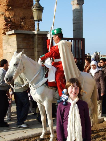 Guard on Arabian