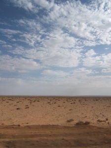 Desolation of the Western Desert 