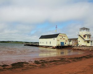 Rustico's Rusty Shoreline