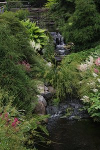 Halifax Public Gardens - Tranquil Water Features