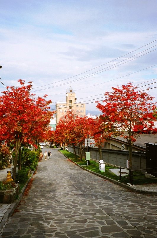 Hakodate street