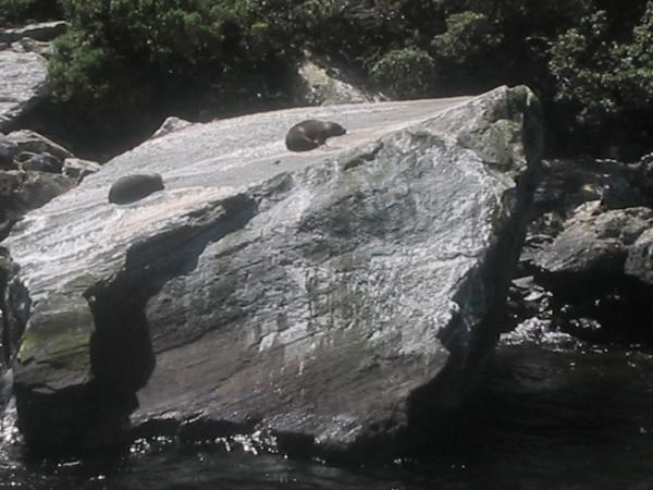 Seal Rock